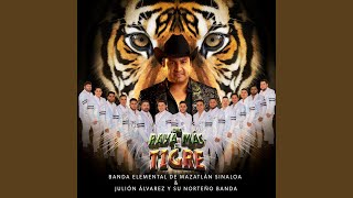 Una Raya Más al Tigre