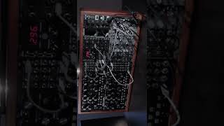 Acid synth on Moog Mother32s & percussion #mother32 #filmscore #electronicmusic #moog #modularsynth