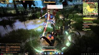 Black Desert Online Valkyrie Gameplay