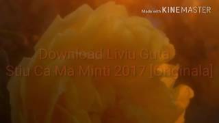 Download Liviu Guta - Stiu Ca Ma Minti 2017 [Originala]