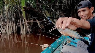 spot sejuta udang// mancing udang galah