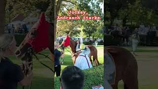 #jockey #andraschstarke #pferd #pferderennen #horse#deutschergalopp #iffezheim #badengalopp