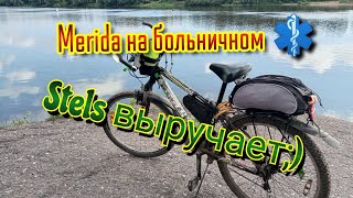 Когда Мерида ушла на больничный ⚕️,Стелс рабочая лошадка выручает 🚴‍♀️