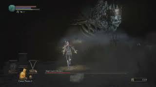 DARK SOULS III - High Lord Wolnir - hitless