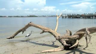 SWFL Water Quality Boat Tour