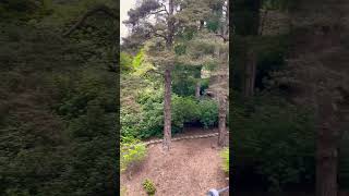 View from the Iron Bridge behind Cragside House