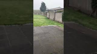 Hailstone #shorts #ireland