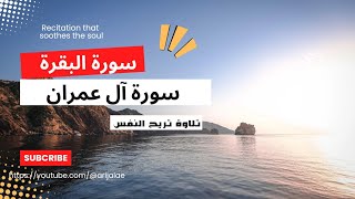 سورة آل عمران  سورة البقرة