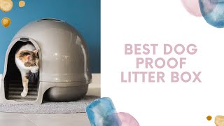 Best Dog Proof Litter Box