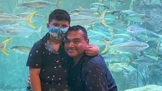 Fun day at Aquarium of the pacific /Long Beach ca..🐠🐟🐡🦭🦞