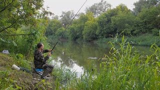 Ловля РЫБЫ на Вечерней Зорьке. РЫБАЛКА на ПОПЛАВОК в Конце Июня!