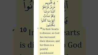 Quran Verse 38 | The Disease of the Heart  #youtubeshorts #respect #quran #dailyayat