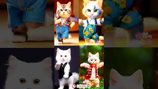 4 cats dance Computer 😁 patli kamar turi😋😍 #cat #dance #youtubeshorts