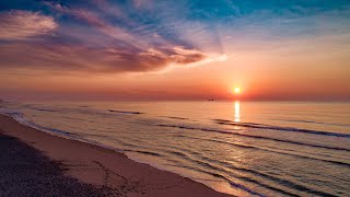 Dolphin Sunrise Island Beach State Park 4K