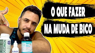 O que fazer na muda de bico?