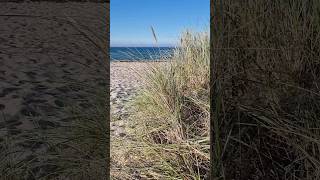 Rügen ❤️ Sommer #ostsee #urlaub #strand