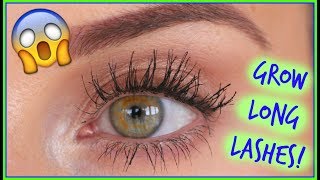 😱 How I Grew LONG LASHES! 👀🙌🏼 [Laura's Views]