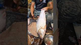 Amazing Rohu Fish Cutting Skills In Bangladesh Fish Market By Expert Cutter #shorts