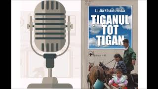 Țiganul tot țigan, de Lidia Ostalowska #3