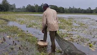 Village bill fishing method with china duari -Traditional Net Catch Fishing on River