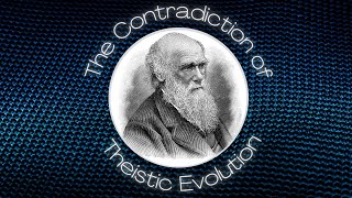 The Contradiction of Theistic Evolution