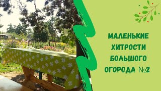 ☘🐞Маленькие  хитрости  большого огорода