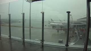 Exploring Echoes - Changi Airport's Rainy Day Magic ☔️✈️ | Serene Scenes