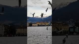 Lugano🇨🇭 #schweiz #lugano #ticino #naturelovers #sbb #balconyview