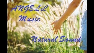 Musica Angelica e Suoni della Natura,per Rilassamento ,Meditazione,Vibrazioni Positive,Purificazione