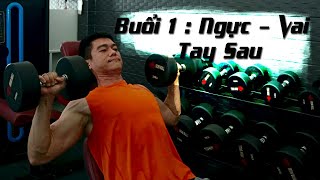 Lịch Tập và Giáo Án 5 buổi tại nhà với tạ Dumbell | Buổi 1 : Ngực - Vai - Tay Sau