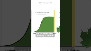 Autumn Foilage: Summer Solstice's Influence on Trees