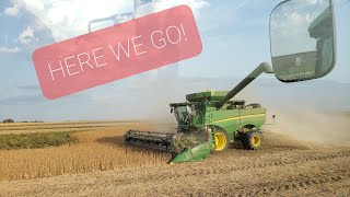 HERE We GO!  Harvest 2020 Update