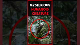 Mysterious Humanoid Creature 😱😳