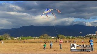 Festival de Cometas Utrahuilca - FundaUtrahuilca