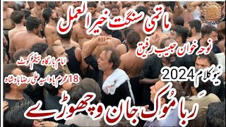 18 Muharram 2024|New Noha Habib Rafiq| |Noha Raba Muk jaan vichora|At Begum Cout Lhur Bawa Ali Raza