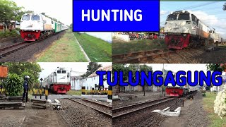 [Kompilasi] Hunting kereta api Di JPL 249 Tulungagung jawa timur