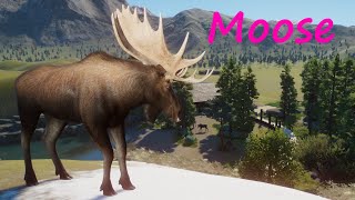 Moose - Future Life Canada