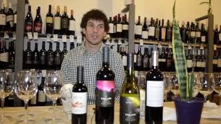 Hernán Pimentel, Bodegas Caelum en Lo de Granado TV