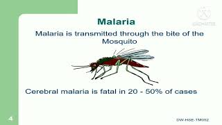 Malaria Control Presentation | HSE Professionals