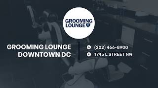 Grooming Lounge Shops | Washington, DC