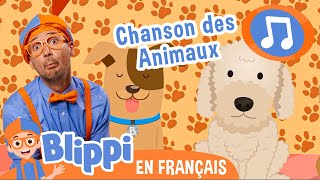 Chanson des animaux | 🎵Blippi en Français -  Chansons pour enfants