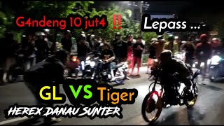 G4ndeng 10 jut4 ‼️ GL vs Tiger || akhirnya lepas , Sempet di bubarin Anggota , Herex danau Sunter