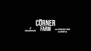 CornerFarm Live Stream