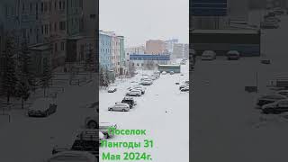 31 мая 2024 г.