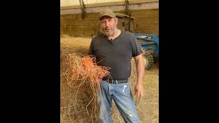 Get That String & Netwrap Off Those Round Bales!!! #rotationalbalegrazing #hay #roundbales