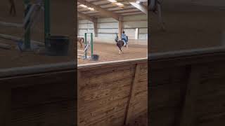 Harley’s lead changes have been on fire lately! #equestrian #leadchange #ponylover