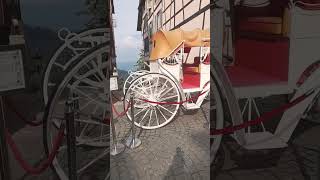 Old horse cart in French Village Malaysia #subscribe #viral #love #viralmyvideo #trendingshorts