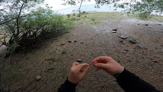 Jak připravit návazec na mini boilies.