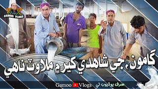 Gamoo Ji Shahidi Kheer Mai Milawat Nahe | Asif Pahore (GAMOO) | Gamoo Vlogs