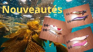 Partie 11 ) des nouveautés pour la pêche aux calamars